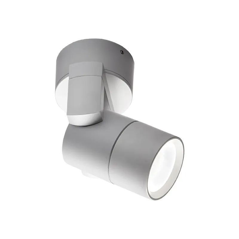Aanbieding Buitenwandspot Skiros, IP55, grijs
