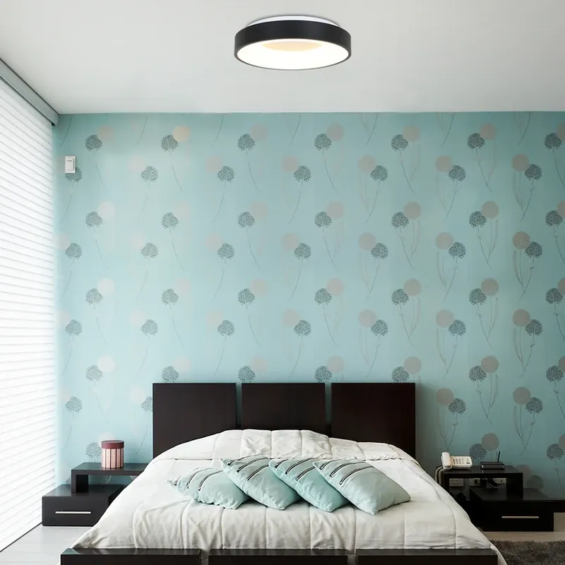 Rechtstreeks Van De Fabrikant LED plafondlamp Ringlede 2.700 K Ø 30 cm zwart