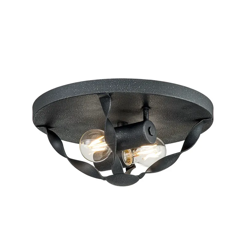 Beste Prijs Plafondlamp Bradbury, 2-lamps, grijs