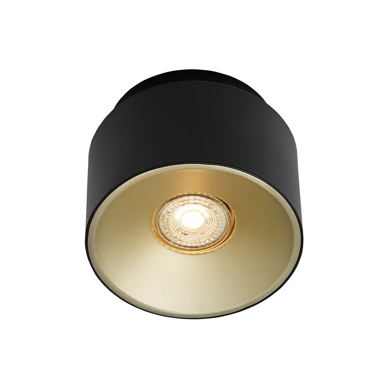 Dagaanbieding Torone downlight, metaal, zwart, kantelbaar