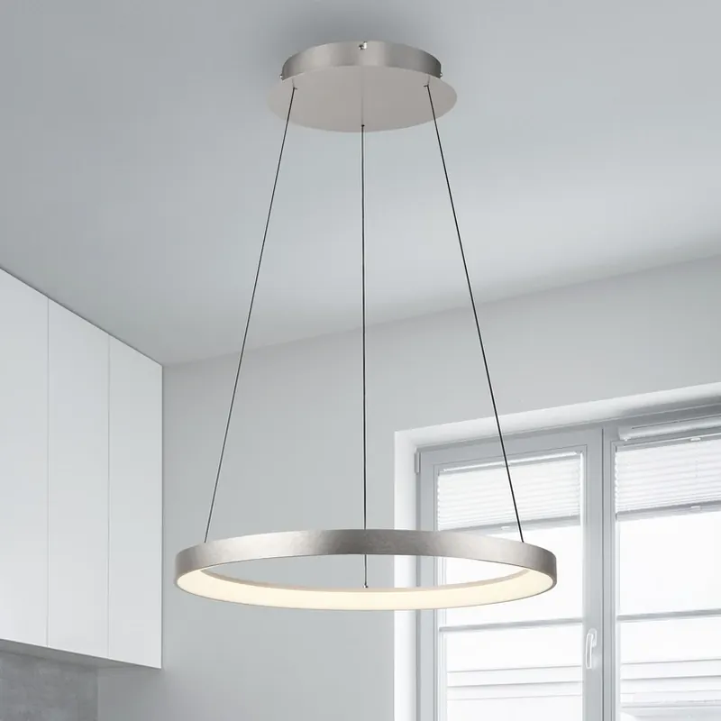 Betrouwbaar Paul Neuhaus LED hanglamp Hoop, aluminiumkleurig, Ø 57cm, dimbaar
