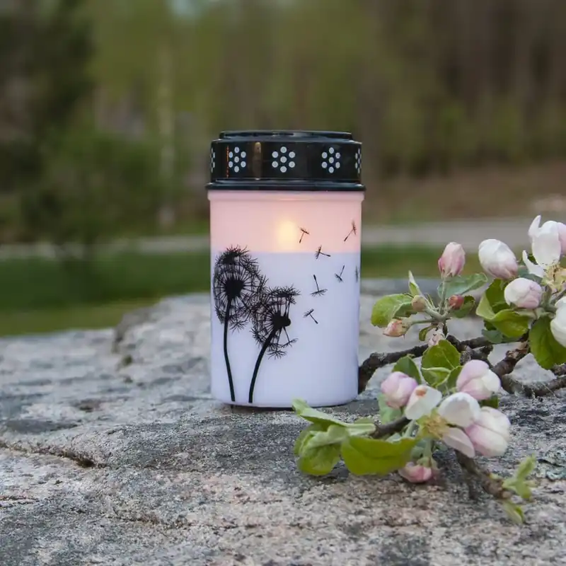 Beperkte Voorraad LED graflicht Paardenbloem, 12 cm wit/zwart kunststof batterij