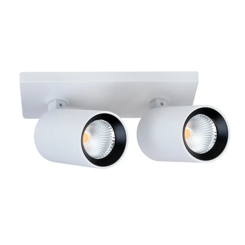 SLC LED inbouwspot Art, 2-lamps, wit, 2.700 K, aluminium Bestel Nu