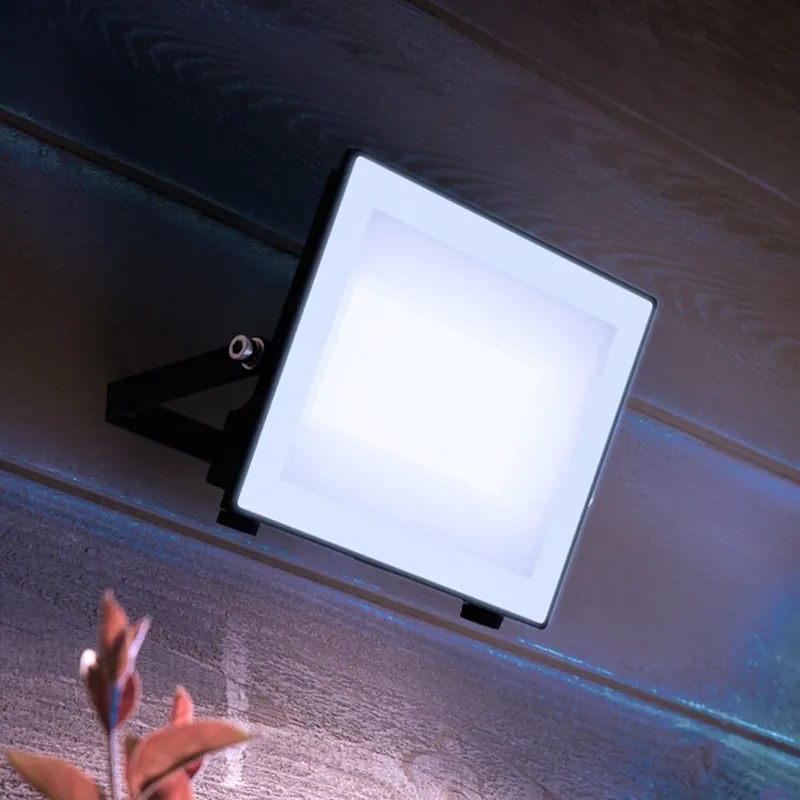 Philips LED-buitenspot Lois UE flood, 24 W, 5.000 K, IP65 Seizoensaanbieding