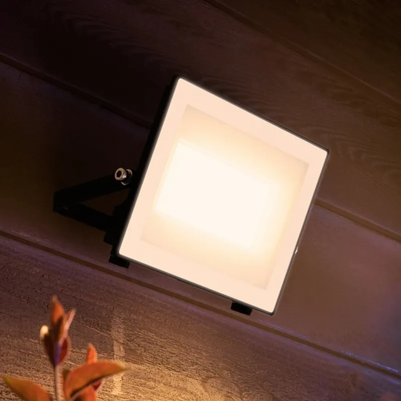 Philips LED-buitenspot Lois UE flood, 24 W, 3.000 K, IP65 Koop Vandaag
