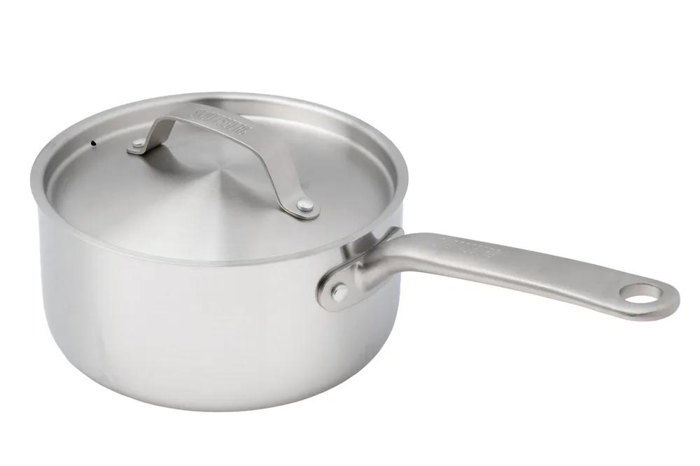 Skottsberg Stainless Steel 535758 steelpan met deksel, 18 cm Laatste Versie