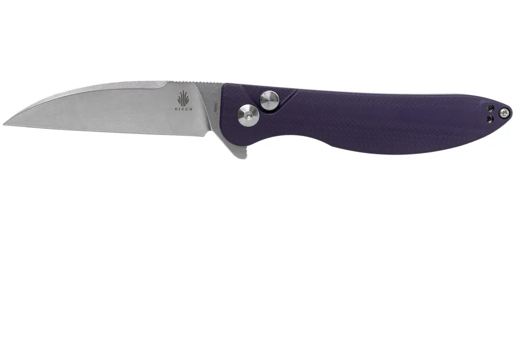 Premium Kizer Vanguard Swaggs Swayback V3566N1 Purple G10 zakmes