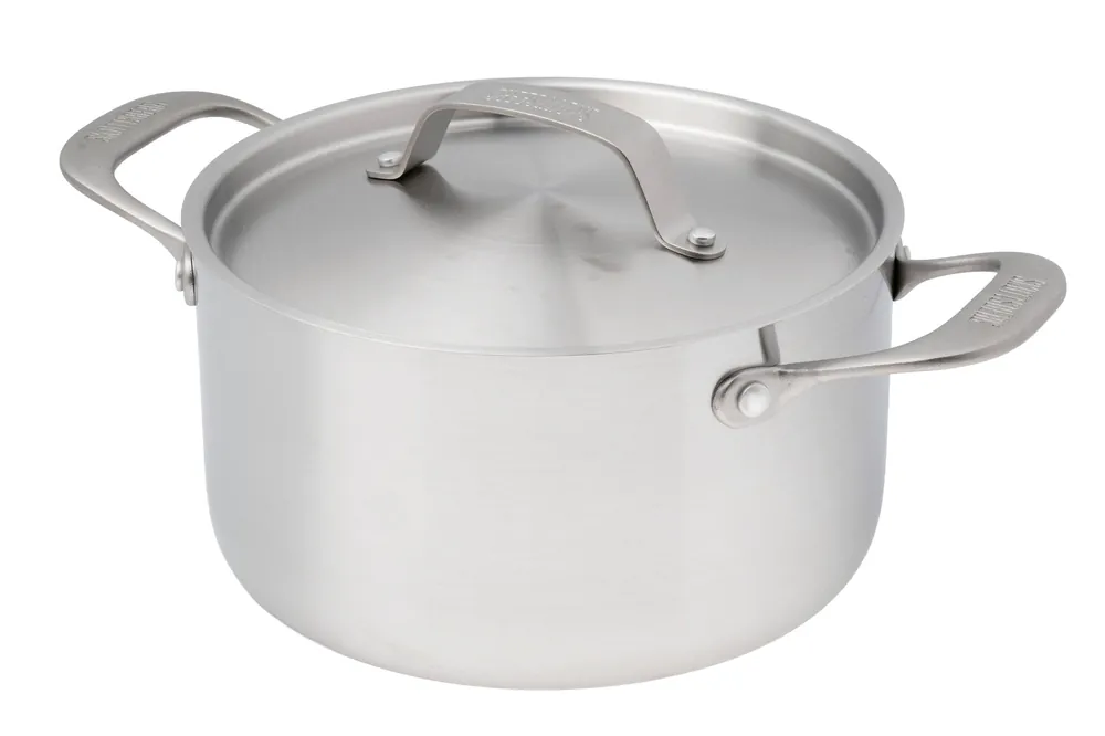 Beste Prijs Skottsberg Stainless Steel 535703 kookpan met deksel, 20 cm