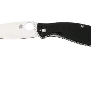 Beperkt Aanbod Spyderco Astute C252GP zakmes